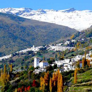 Imagen de ceremonias en la Alpujarra