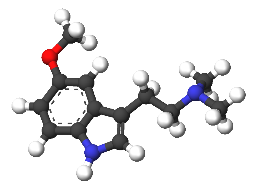 5-MeO-DMT